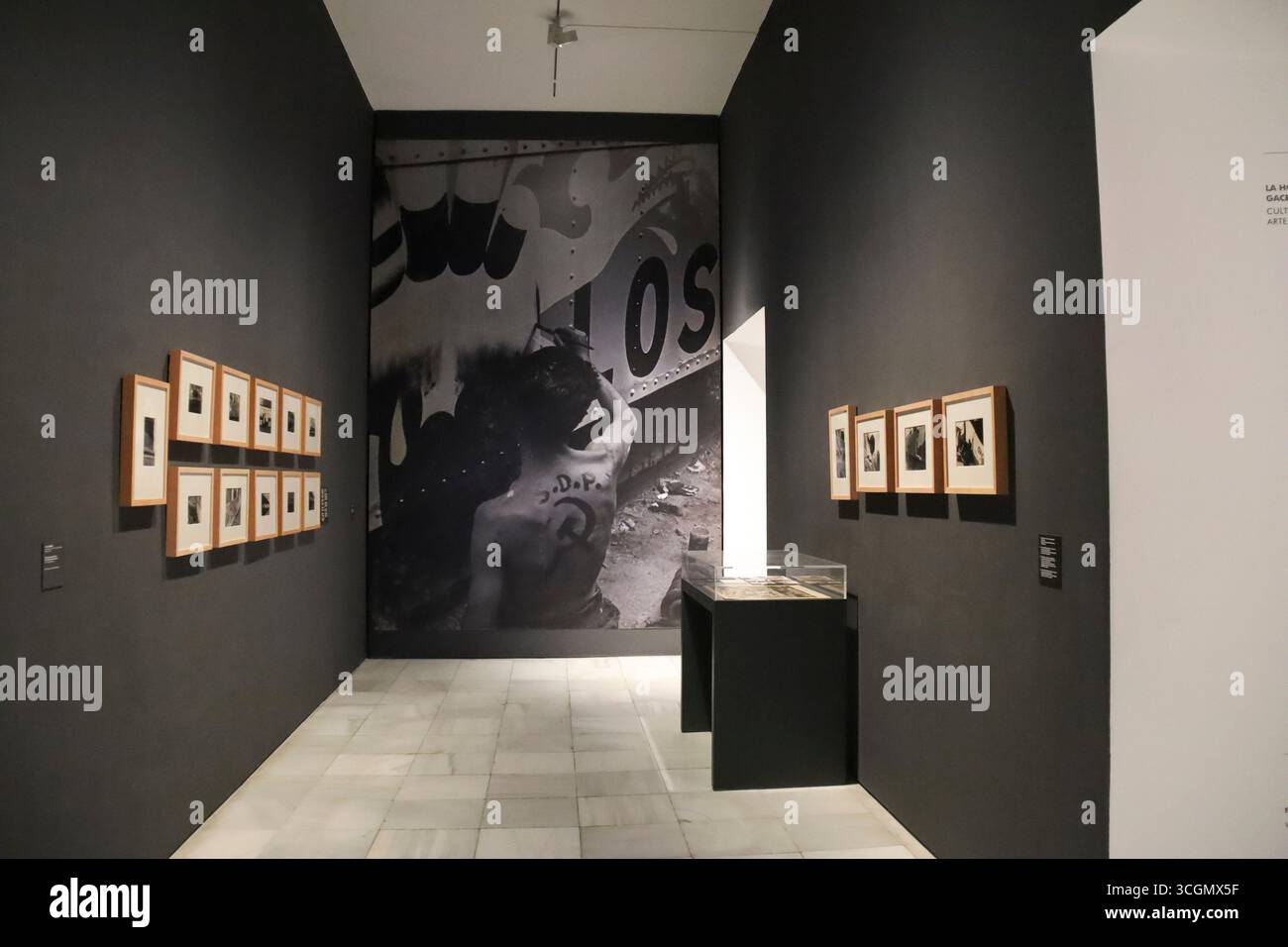 Madrid, Spagna- 13 agosto 2025: Mostra d'arte all'interno del Museo Nacional Centro de Arte Reina Sofia facciata principale della città di Madrid Foto Stock