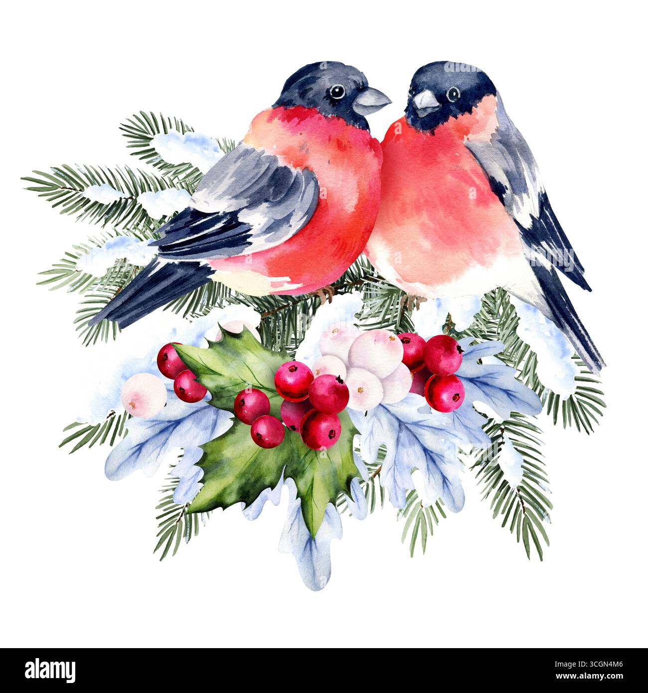 acquerello albero di Natale sulla neve, rami agrillati, bacche rosse, due piccioni, bozzetto disegnato a mano di rami di abete verde con le stagioni che volano Foto Stock