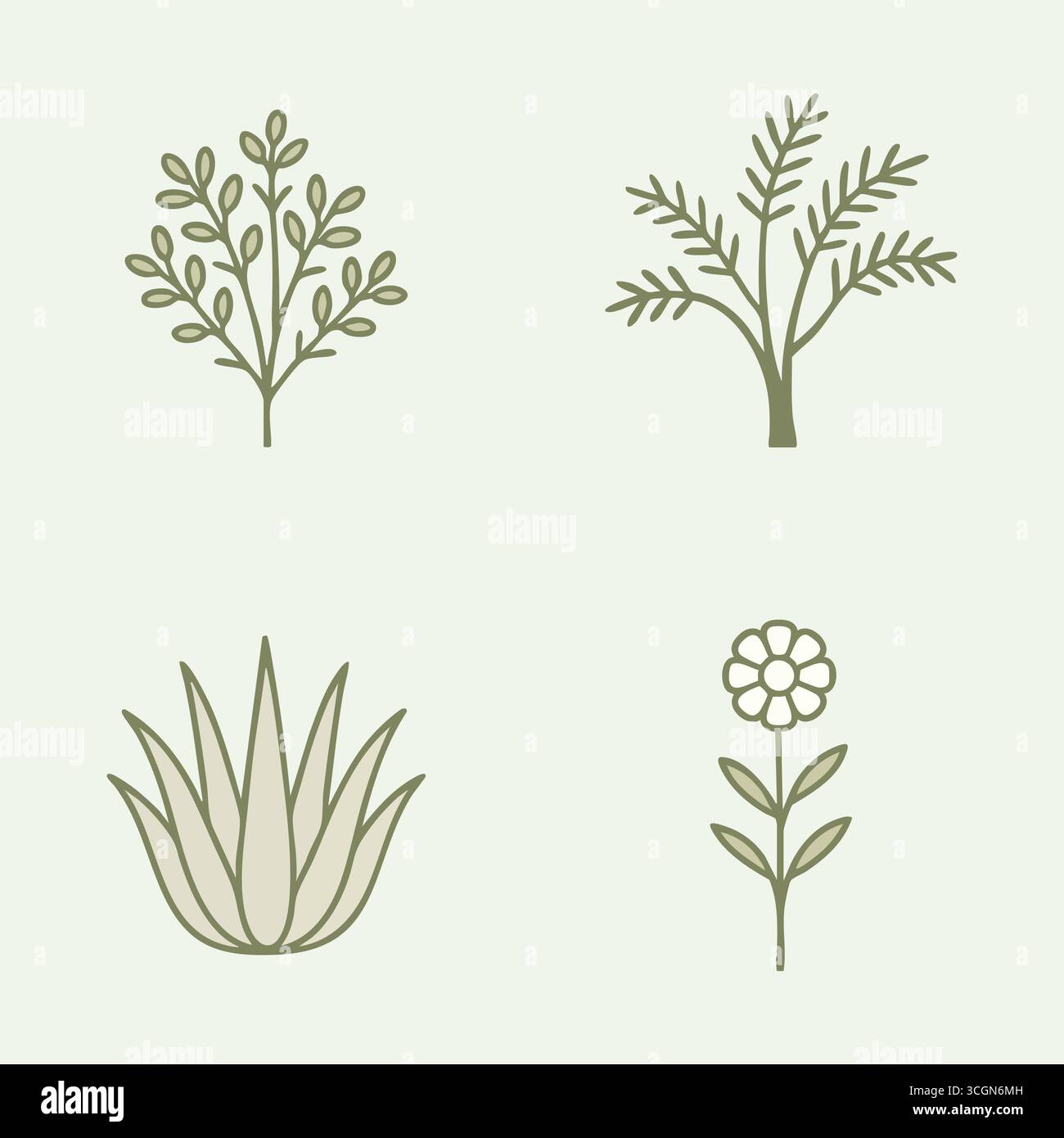 Un delicato pannello botanico di piante variegate, tra cui arbusti ramificati, rosetta di agave e fiori arrotondati sui gambi. Illustrazione Vettoriale