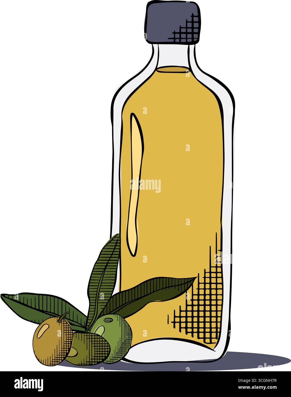 Olio d'oliva in bottiglia e ramificato con frutta e foglie verdi composizione bottiglia olio d'oliva. Illustrazione colorata con inchiostro a linee grafiche vettoriali. Olio d'oliva, bott Illustrazione Vettoriale