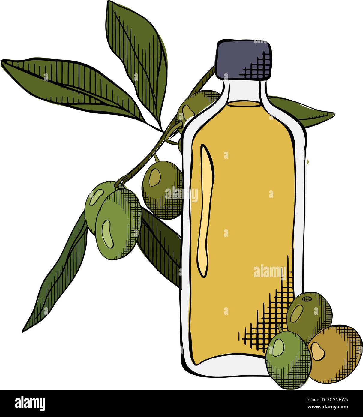 Olio d'oliva in bottiglia e ramificato con frutta e foglie verdi grafica vettoriale a linee con inchiostro a colori. Vaso in vetro isolato cartoni animati con coperchio in sughero e. Illustrazione Vettoriale
