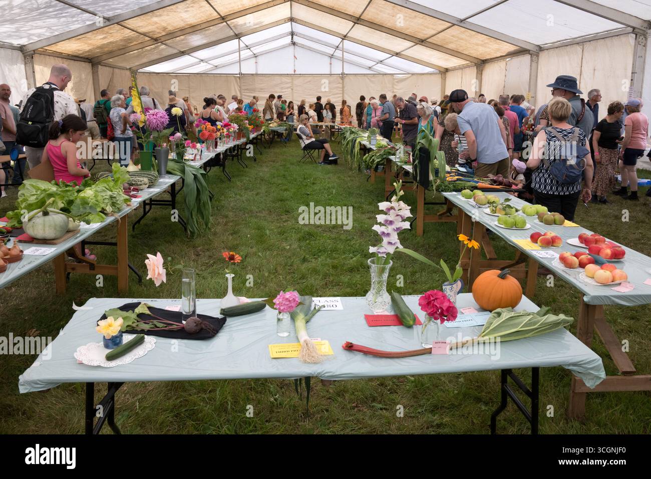 La tenda di artigianato e produzione, Reeth Show, North Yorkshire Foto Stock