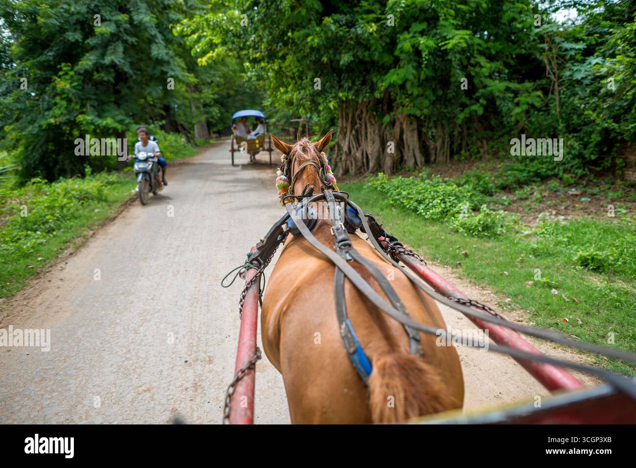 Trasporto turistico in carrozza a cavallo strada rurale Inwa Amarapura Myanmar // INWA, REGIONE DI MANDALAY, MYANMAR — Una carrozza a cavallo trasporta i turisti lungo una strada rurale all'interno dell'antica città di Inwa (nota anche come Ava). Questo modo di trasporto tradizionale è essenziale per esplorare il vasto sito archeologico, in quanto i veicoli moderni sono generalmente limitati. I visitatori solitamente noleggiano un carretto a cavallo all'arrivo per esplorare i vasti terreni, che includono numerosi antichi monasteri, pagode e rovine. Inwa, un'ex capitale imperiale dei regni birmani dal XIV al XIX secolo, è si Foto Stock