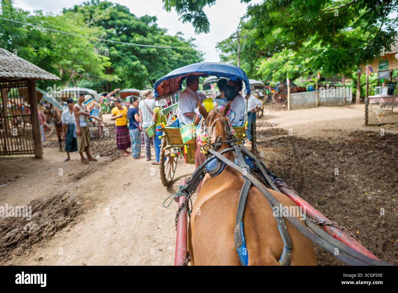 Trasporto turistico a cavallo e in carrozza Inwa Amarapura Myanmar No Cars or taxi // INWA (nota anche come Ava), regione di Sagaing, Myanmar - le corse in carrozza a cavallo sono il mezzo di trasporto principale per i turisti che visitano l'antica città di Inwa. Questo sito storico, un'ex capitale imperiale del Myanmar, è in gran parte inaccessibile ai veicoli moderni come auto e taxi. I visitatori si affidano a queste tradizionali carrozze trainate da cavalli per esplorare le rovine sparse e i monasteri in tutta l'isola. Inwa si trova vicino ad Amarapura, una cittadina all'interno del distretto di Mandalay, rendendola un significativo destino culturale Foto Stock