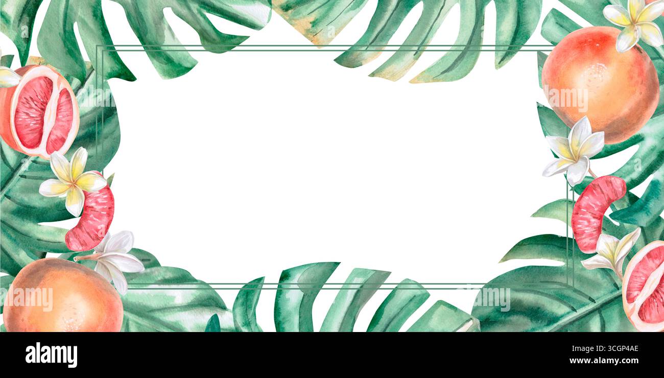 Cornice rettangolare con tema per le vacanze estive. Illustrazione isolata ad acquerello con pompelmo e fiori di frangipani, foglie verdi per menu estivo des Foto Stock