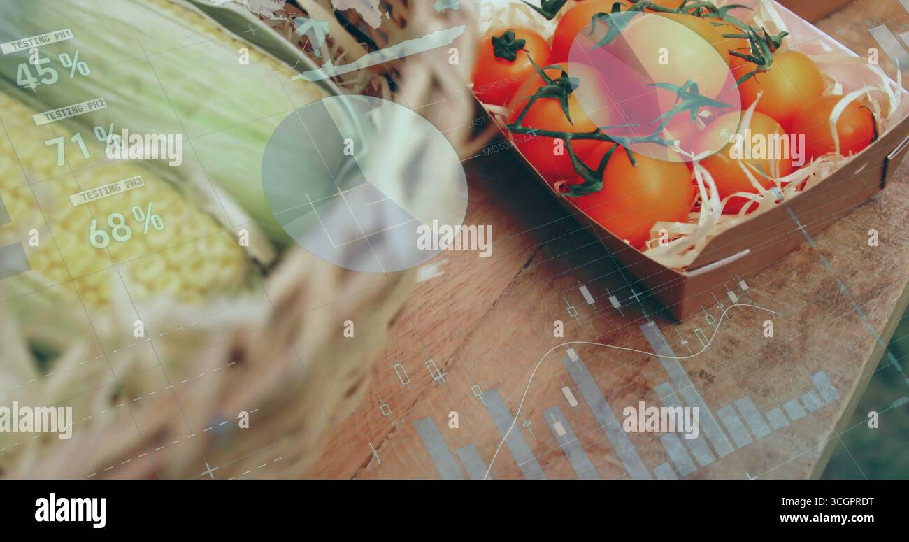 Visualizzazione di un vassoio poco profondo che contiene pomodori da vite su bancarelle in legno, con sovrapposizione dati e spazio di copia Foto Stock