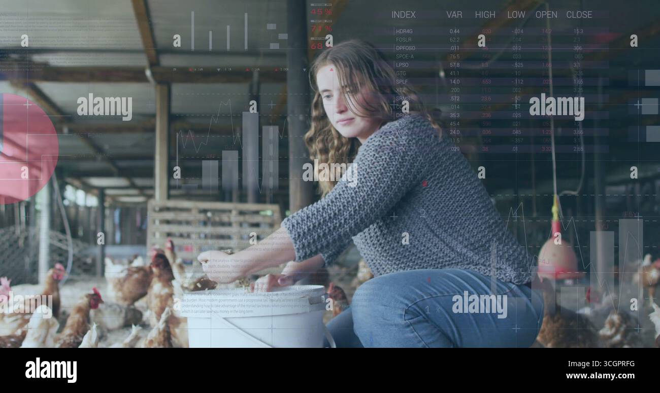 Donna accovacciata che diffonde mangimi per galline brune all'interno della stalla, con secchio bianco, mangiatoie rosse Foto Stock