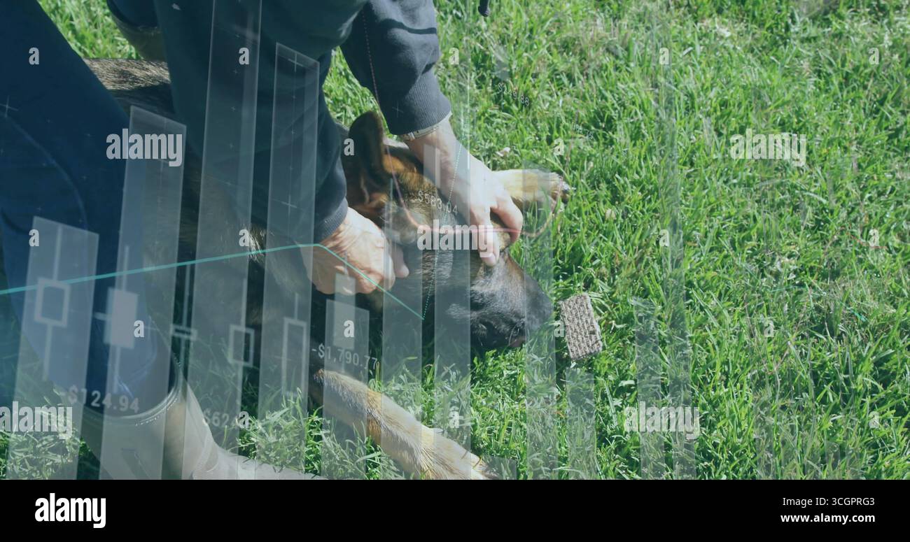 Inginocchiato donna anziana cullando delicatamente la testa del pastore tedesco sul prato illuminato dal sole del parco, con sovrapposizione cartografica Foto Stock