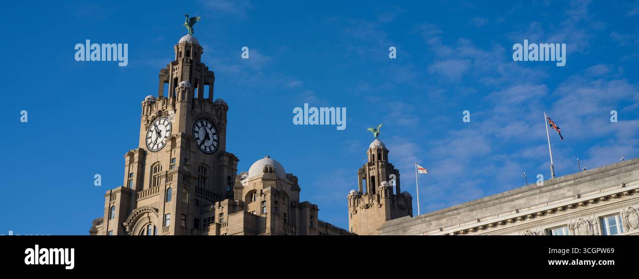 Liverpool Merseyside Liver Building Foto Stock