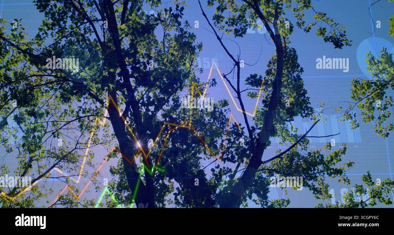 Mostra l'albero del parco che filtra la luce solare attraverso le lamelle, con grafici a linee, griglie ed etichette numeriche Foto Stock