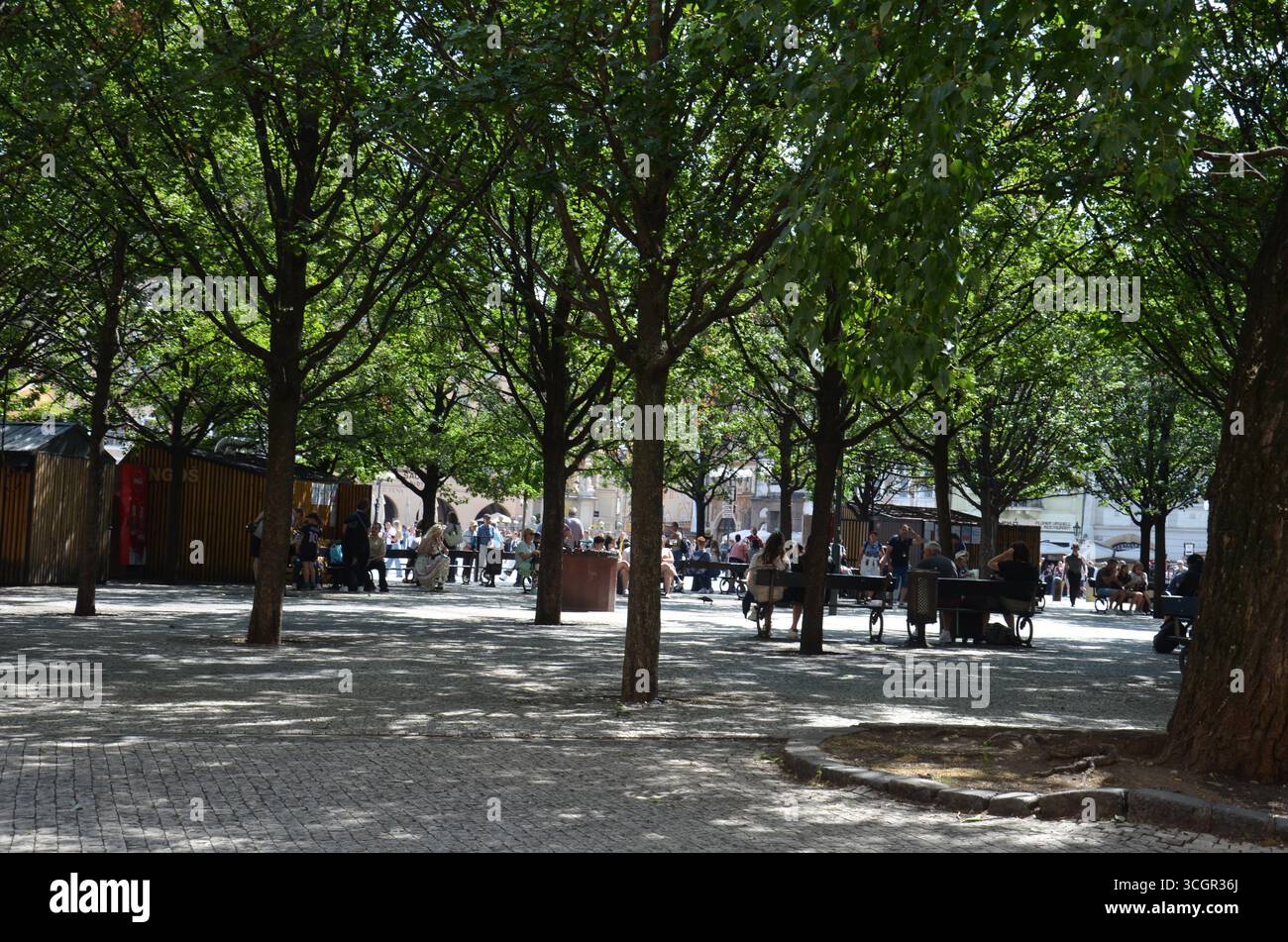 Parco lastricato con alberi e persone sedute sulle panchine Foto Stock