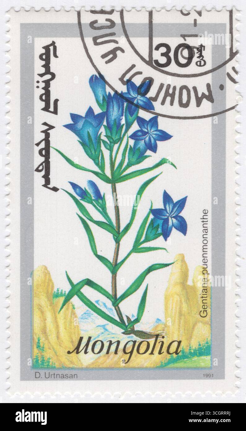MONGOLIA - 1991 aprile 15: 30 möngö francobollo multicolore raffigurante Gentiana Puenmonanthe. Gentiana è un genere di piante da fiore appartenenti alla famiglia Genziana (Gentianaceae), alla tribù Gentianeae e alla sottotribù monofiletica Gentianinae. Con circa 400 specie, è considerato un grande genere. I genziani sono notevoli per i loro fiori a forma di tromba, che sono spesso di una tonalità blu intensa. Il nome del genere è un omaggio a Gentius, un re illirico che potrebbe aver scoperto proprietà toniche nei genziani Foto Stock