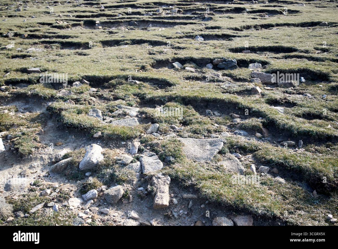 erosione del suolo e slittamento dovuto al vento e alle condizioni meteorologiche sulla cima della scogliera arranmore island county donegal repubblica d'irlanda Foto Stock