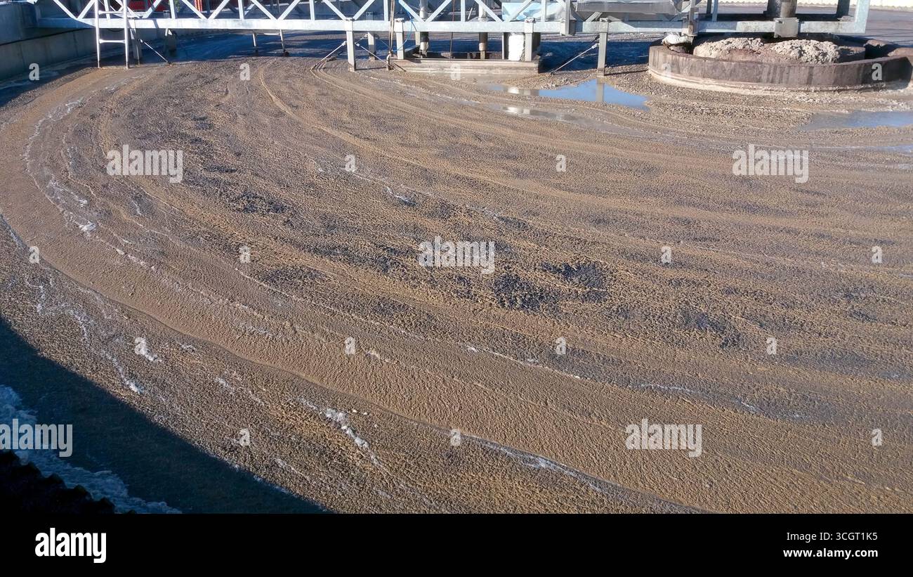 Il fango si accumula sulla superficie dell'acqua in un impianto di trattamento in cui vengono trattate le acque reflue, riflettendo il lavoro di filtrazione che si svolge in cielo limpido Foto Stock