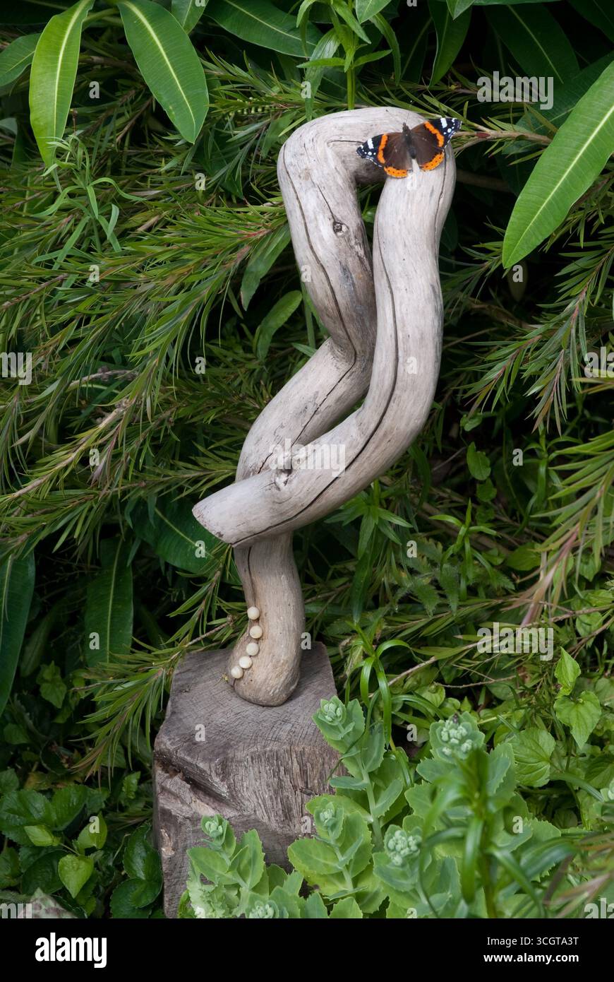 Una scultura unica realizzata in legno di mare si erge elegantemente in mezzo a una vibrante vegetazione, mentre una farfalla si appoggia delicatamente sulle sue curve. Foto Stock