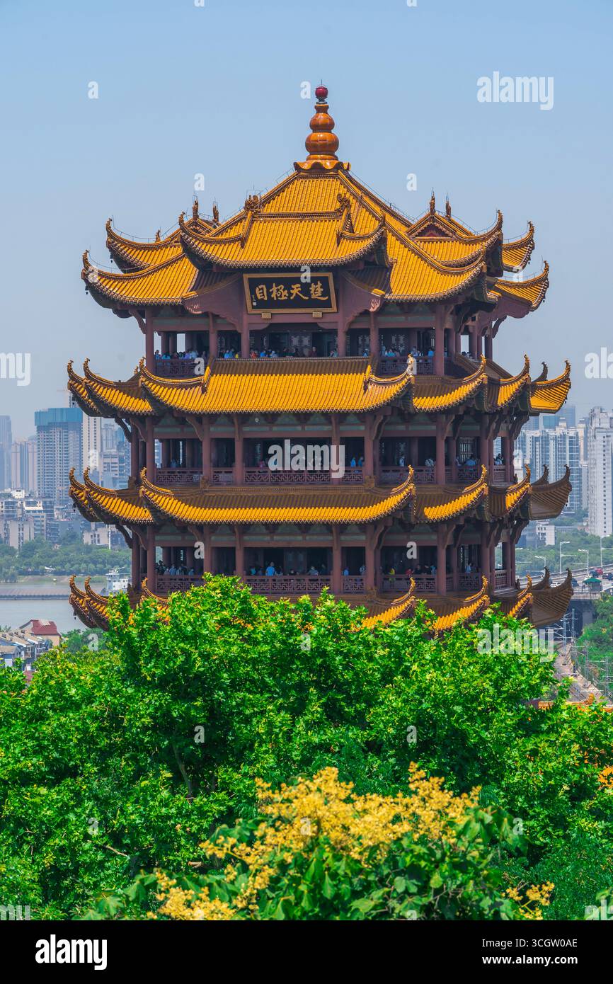 Un alto edificio con tetto giallo sorge dietro alberi verdi. Foto Stock
