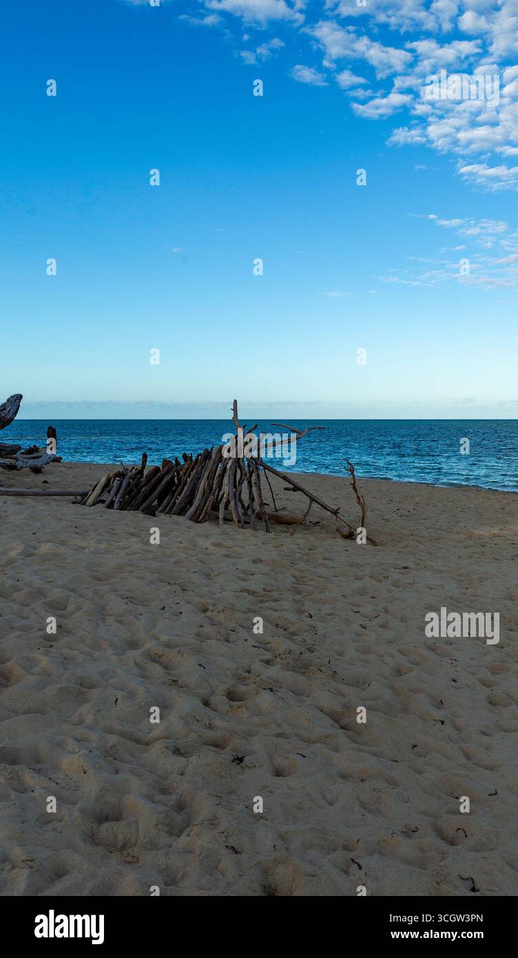 vacanze in rifugio all'ombra di una capanna sulla spiaggia di tronchi, spiaggia tranquilla, vista sull'oceano, isola verde sull'acqua, grande barriera corallina, queensland australia Foto Stock