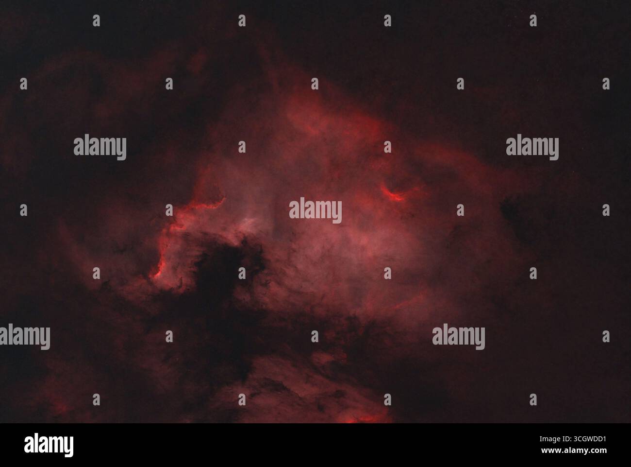 Wimbledon, Londra, Regno Unito. 30 agosto 2025. La Nebulosa del Nord America, NGC 7000, brilla al di sopra di Londra in questa esposizione di 1,5 ore, scattata con una telecamera astro e un telescopio ad alta risoluzione, l'evidente bagliore rosso di questa nebulosa a emissione massiccia nella costellazione del Cygnus causata dal gas idrogeno. In questa immagine tutte le stelle sono state rimosse dal software. Crediti: Malcolm Park/Alamy Foto Stock