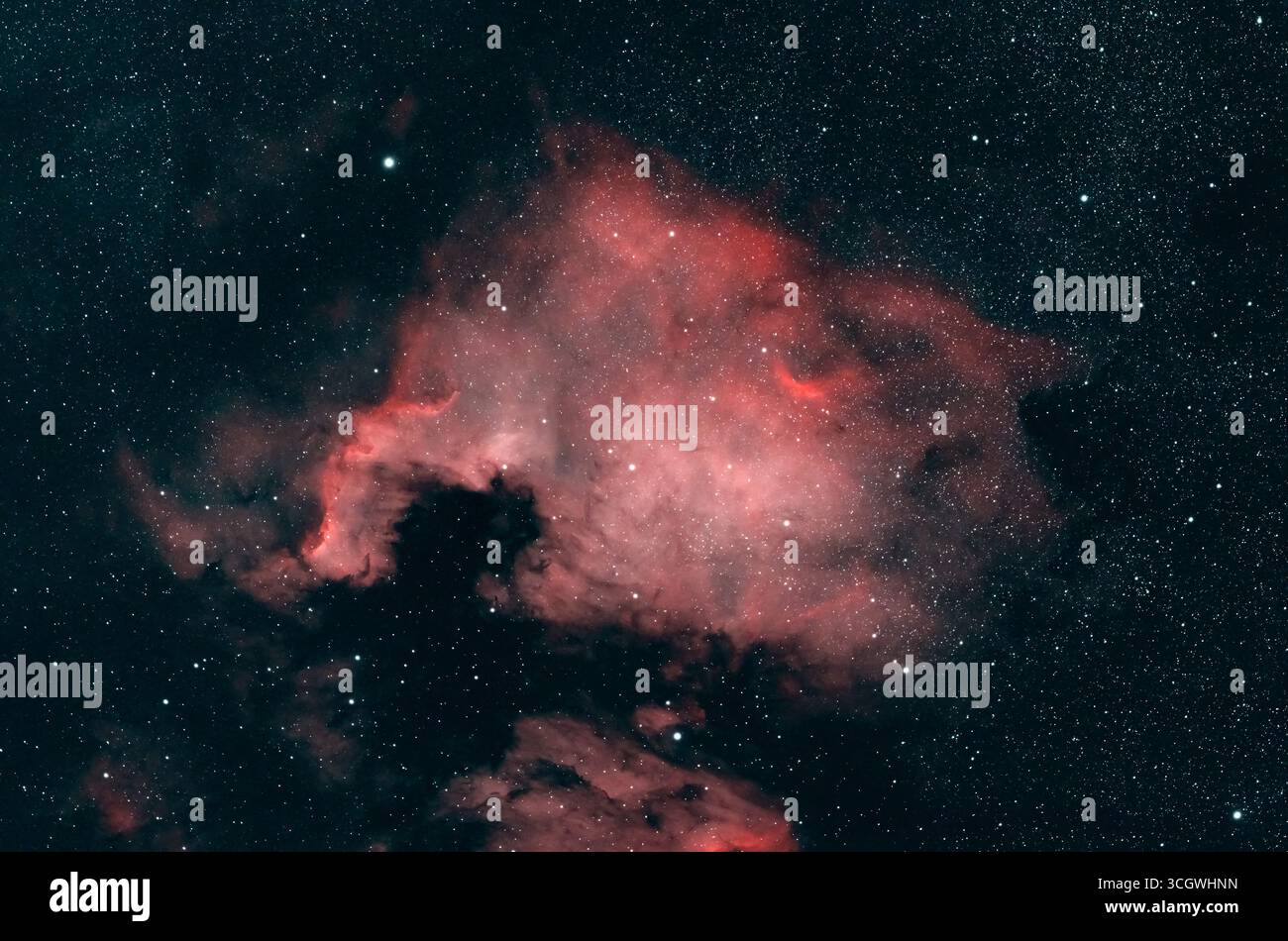 Wimbledon, Londra, Regno Unito. 30 agosto 2025. La Nebulosa del Nord America, NGC 7000, brilla al di sopra di Londra in questa esposizione di 1,5 ore, scattata con una telecamera astro e un telescopio ad alta risoluzione, l'evidente bagliore rosso di questa nebulosa a emissione massiccia nella costellazione del Cygnus causata dal gas idrogeno. Crediti: Malcolm Park/Alamy Foto Stock