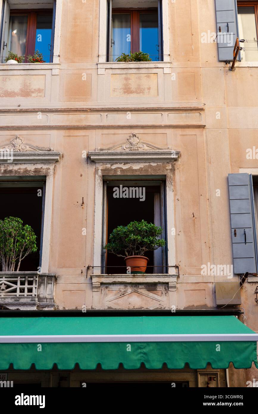 Storico edificio veneziano con finestre con persiane, piante e classici dettagli della facciata sotto il cielo blu Foto Stock