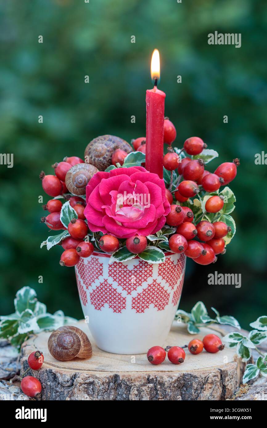 composizione floreale con candela, rosa rossa, fianchi rosa e conchiglie di lumaca in una tazza con ornamento a cuore Foto Stock