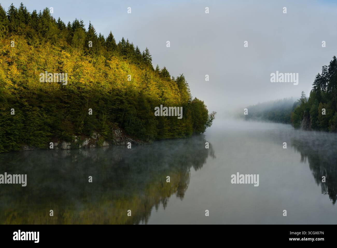 Il sole della mattina presto splende sugli abeti rossi sulla riva del fiume. Foto Stock
