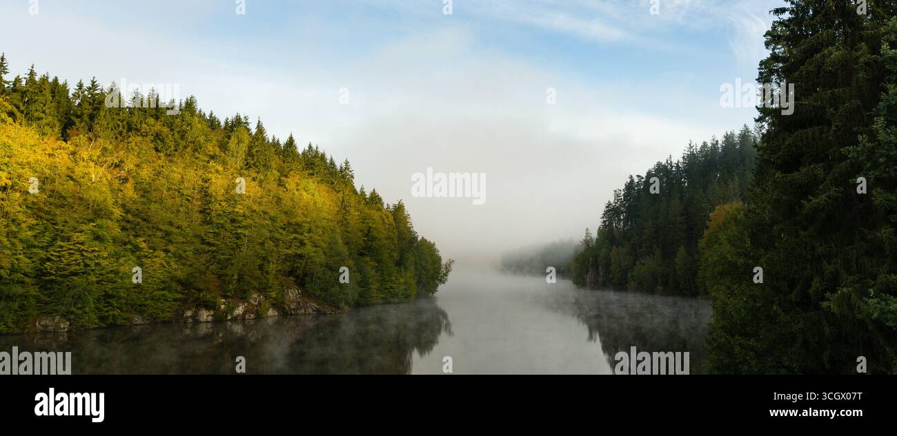 Il sole della mattina presto splende sugli abeti rossi sulla riva del fiume. Foto Stock