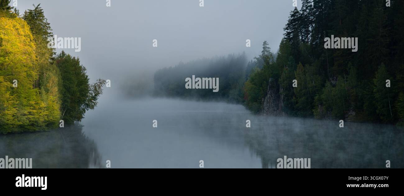 Il sole della mattina presto splende sugli abeti rossi sulla riva del fiume. Foto Stock