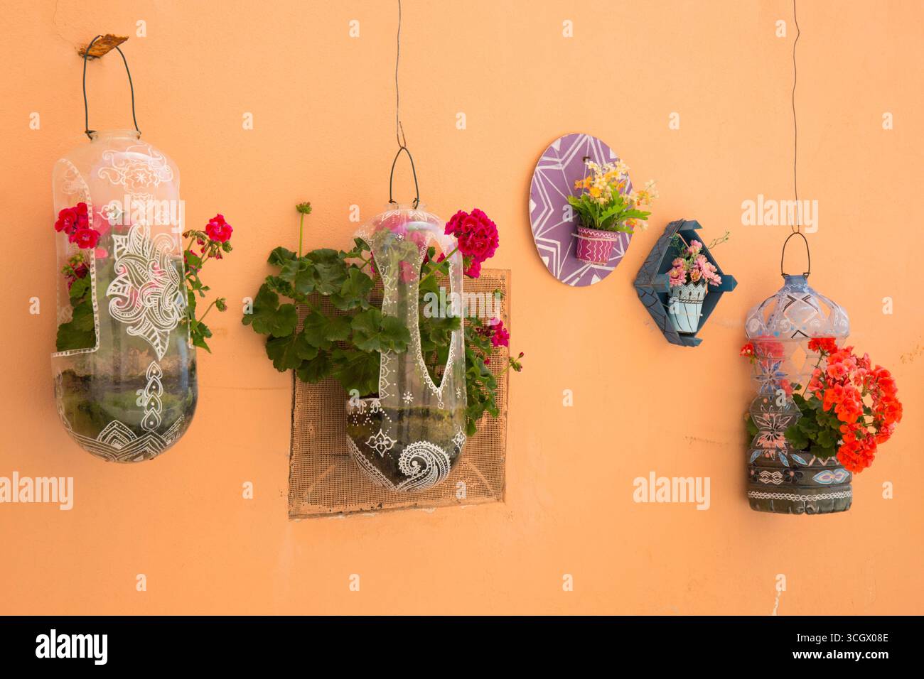 Alghero, Sassari, Sardegna, Italia. Accattivante esposizione di fiori su una tipica parete color pastello nel cuore della città Vecchia. Foto Stock