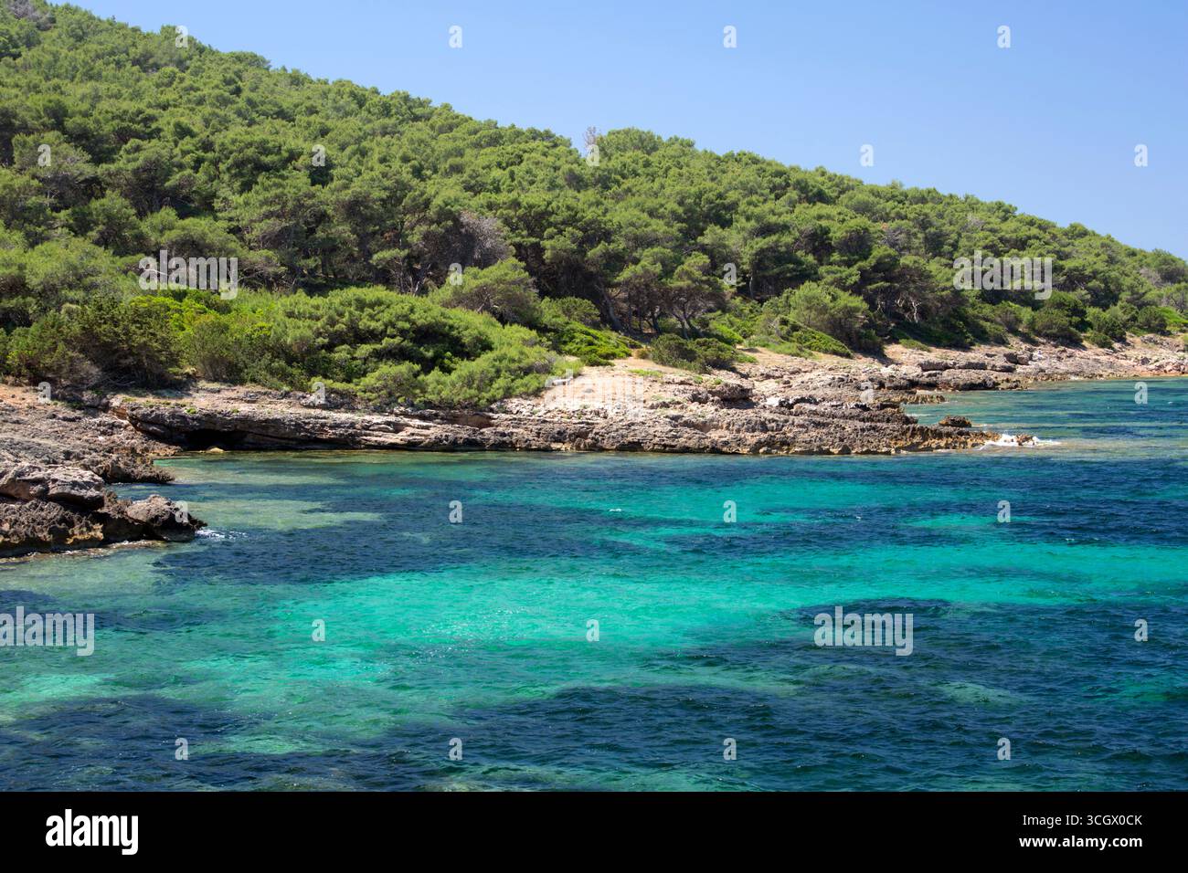 Parco naturale regionale di Porto Conte, Alghero, Sassari, Sardegna, Italia. Ammira le limpide acque turchesi fino alla costa boscosa della baia di Porto Conte. Foto Stock