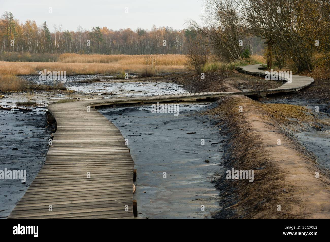 Sentiero in legno nella riserva naturale nazionale di Soos, Repubblica Ceca. Foto Stock