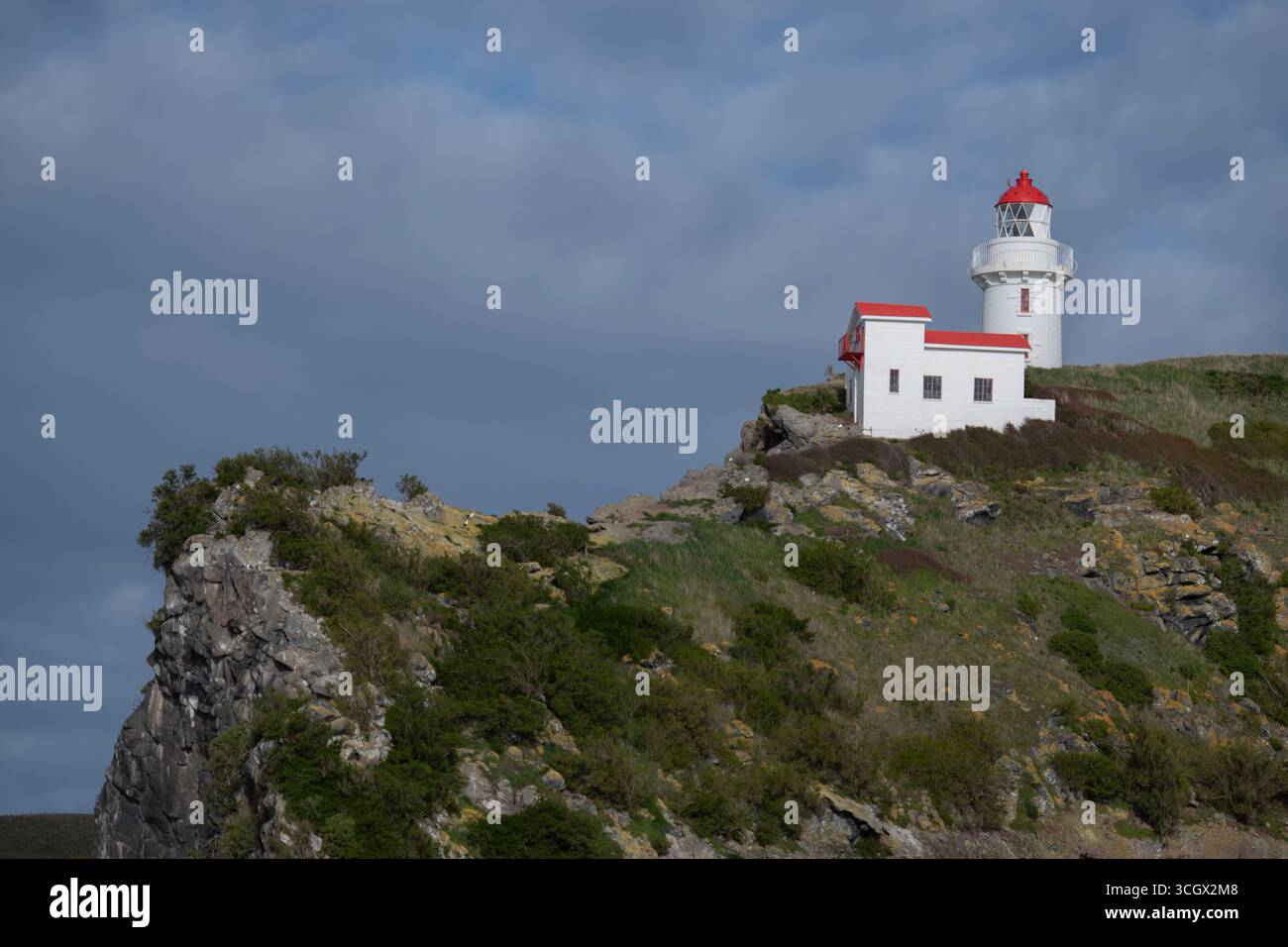 Faro di Taiaroa Head, costruito nel 1864, il faro più antico funzionante dell'Isola del Sud, Taiaroa Head, penisola di Otago, Dunedin, Otago, isola del Sud Foto Stock