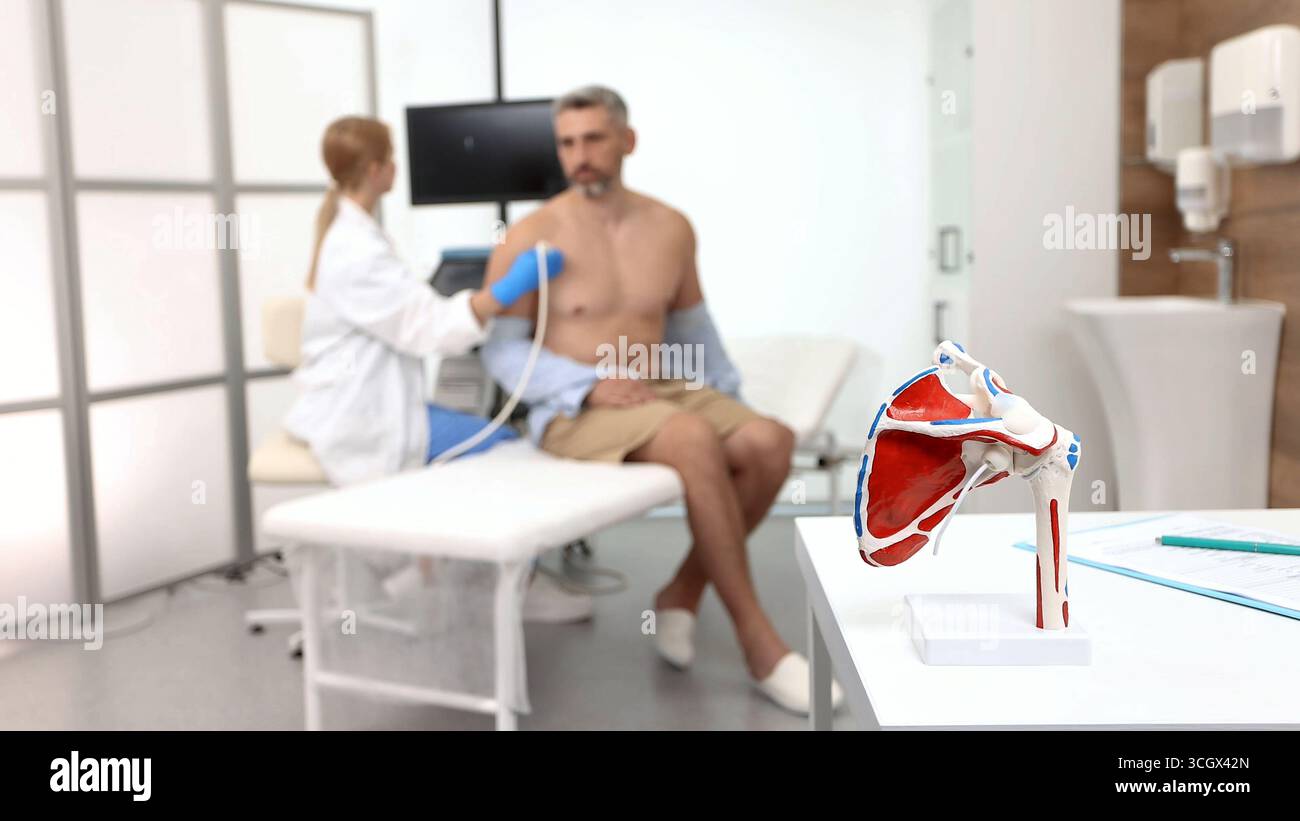 Modello anatomico della struttura della spalla sullo sfondo del processo di esame ecografico della clavicola e della spalla di un maschio adulto con spe a ultrasuoni Foto Stock