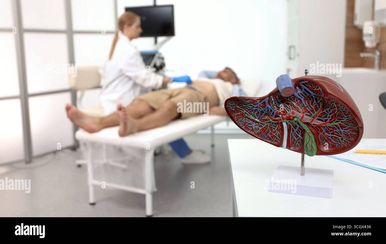 Ecografia del fegato. Il paziente sottoposto a esame del fegato e della colecisti si trova sul divano medico vicino al sonografo e alla macchina a ultrasuoni in clinica medica Foto Stock