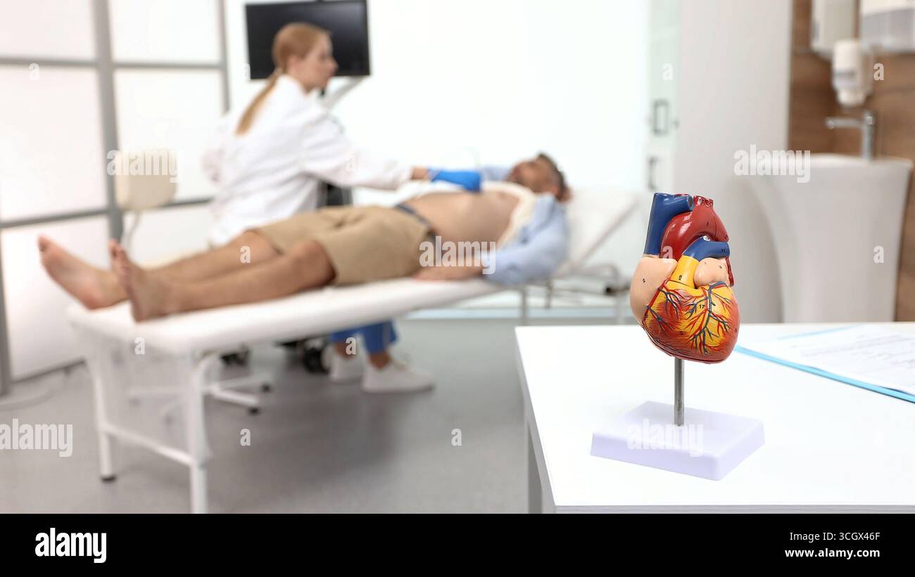 Controllo della salute del cuore con ecografia e modello anatomico del cuore. Esame ecografico del cuore per l'uomo con ecografo specializzato Foto Stock