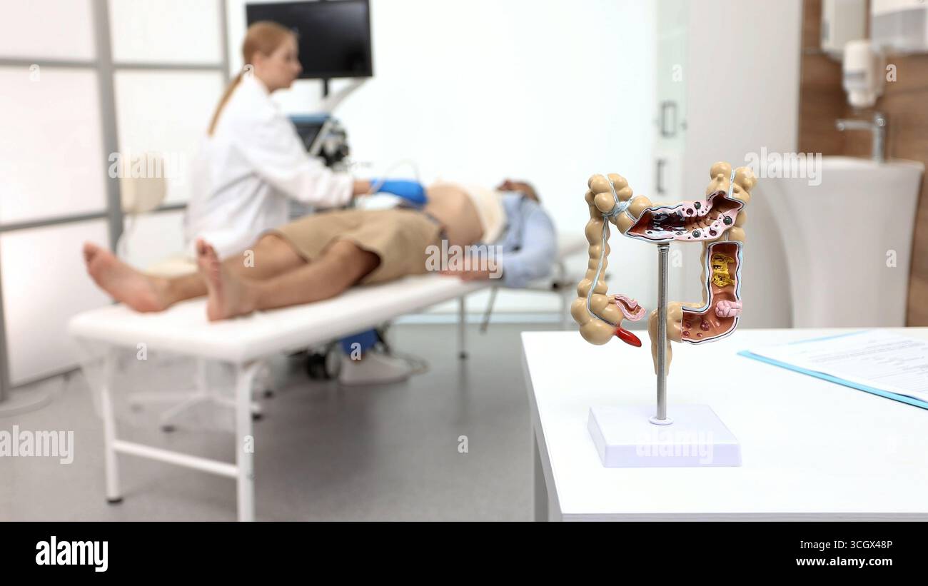 Il modello di intestino anatomico con patologia è in piedi sul piano d'esame. Gastroenterologo che esegue ecografie intestinali per pazienti di sesso maschile Foto Stock