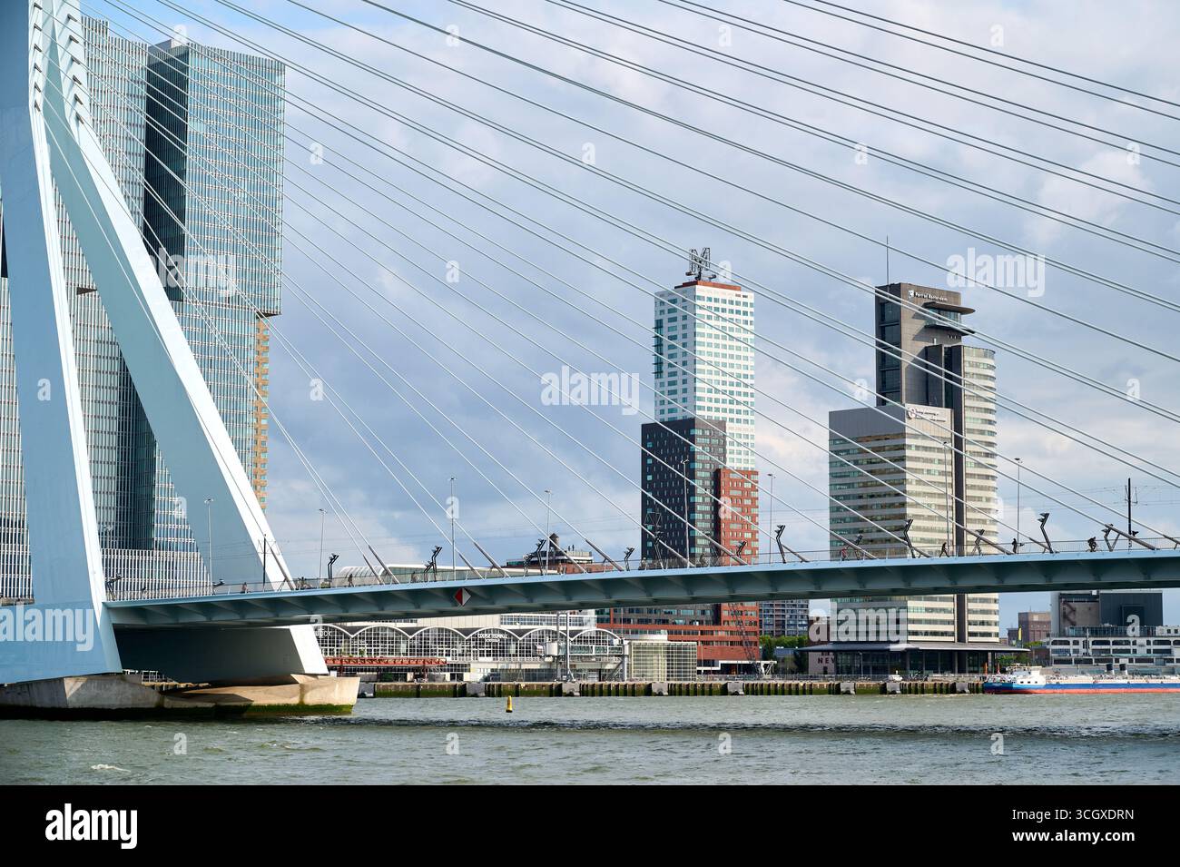 Vista sul ponte Erasmus a Rotterdam, Paesi Bassi Foto Stock
