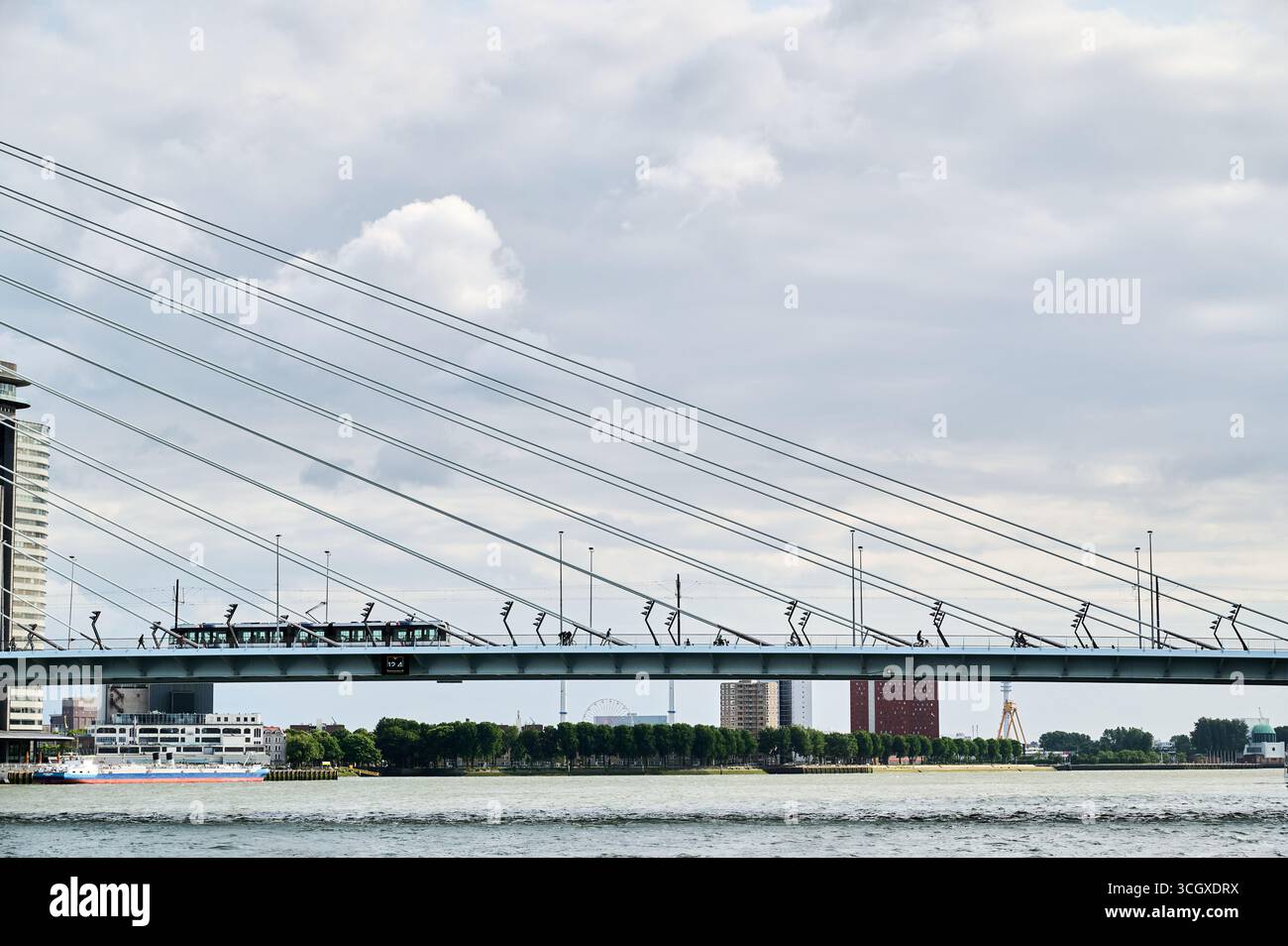 Vista sul ponte Erasmus a Rotterdam, Paesi Bassi Foto Stock