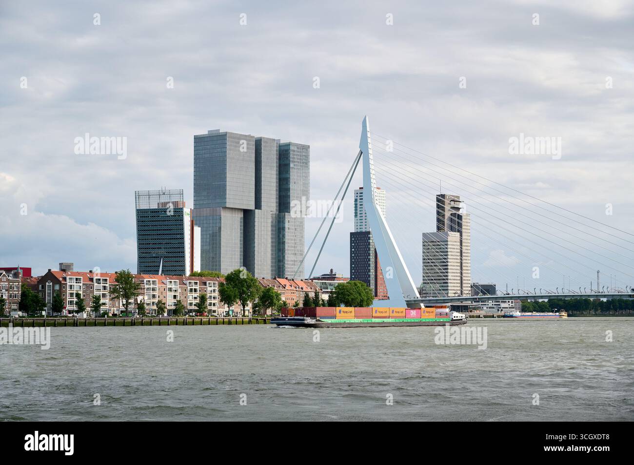 Vista sul ponte Erasmus a Rotterdam, Paesi Bassi Foto Stock