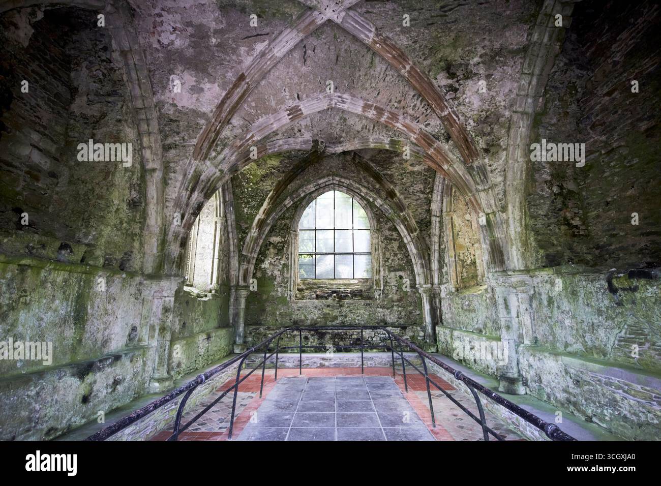 interno della casa capitolare dell'abbazia di mellifont, contea di louth, repubblica d'irlanda Foto Stock