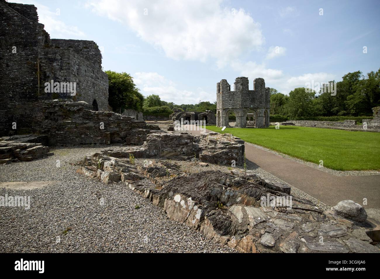 mellifont abbazia contea di louth repubblica d'irlanda Foto Stock