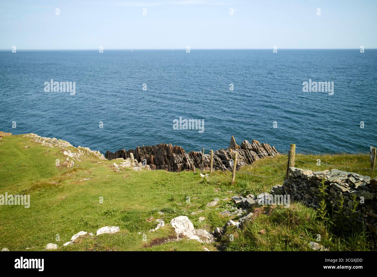 costa rocciosa a clogher head, contea di clogherhead, louth, repubblica d'irlanda Foto Stock