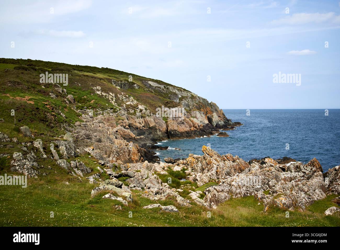 costa rocciosa a clogher head, contea di clogherhead, louth, repubblica d'irlanda Foto Stock