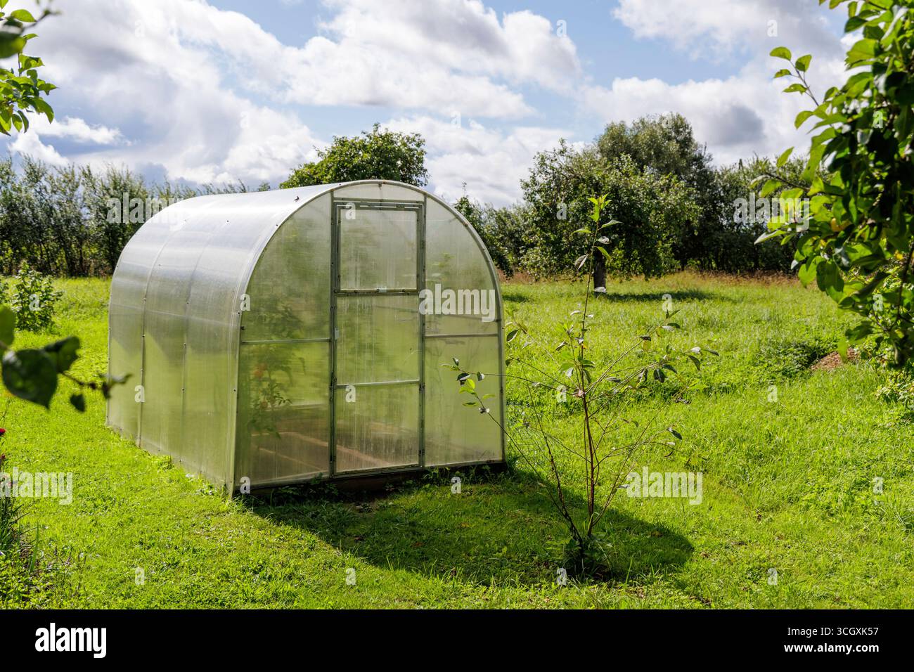 Una piccola e moderna serra di plastica sorge su un vivace prato verde in un giardino rurale in giardino in una giornata di sole. Foto Stock