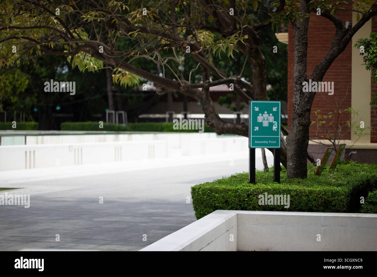 Un cartello verde del punto di raccolta in piedi in un tranquillo parco pubblico, che simboleggia la sicurezza, l'emergenza e la guida. Perfetto per i concetti di outdoor, segnaletica, se Foto Stock
