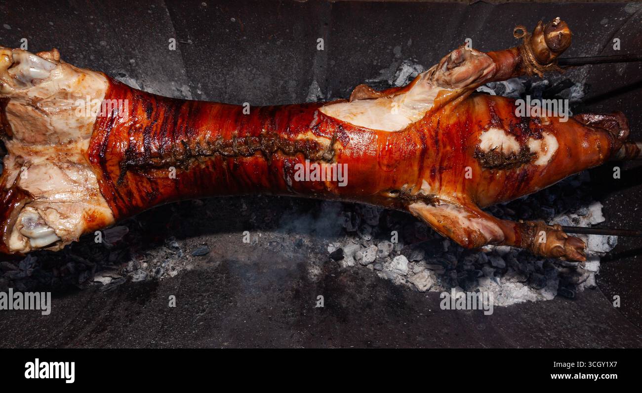 Un giovane maiale viene arrostito con uno sputo sopra i carboni. Foto Stock