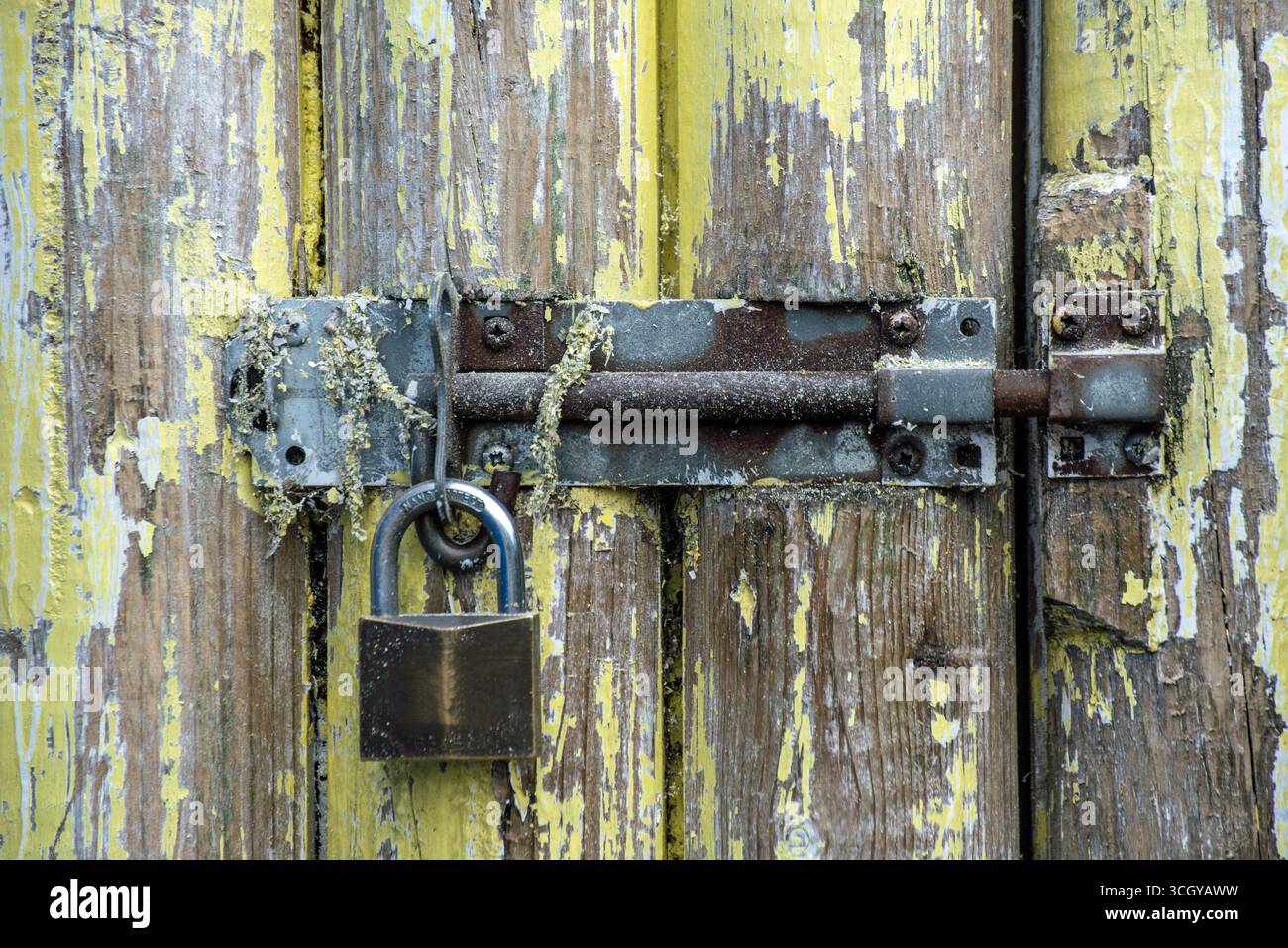 Un bullone in metallo arrugginito con lucchetto su una vecchia porta in legno con vernice gialla sfalsata Foto Stock