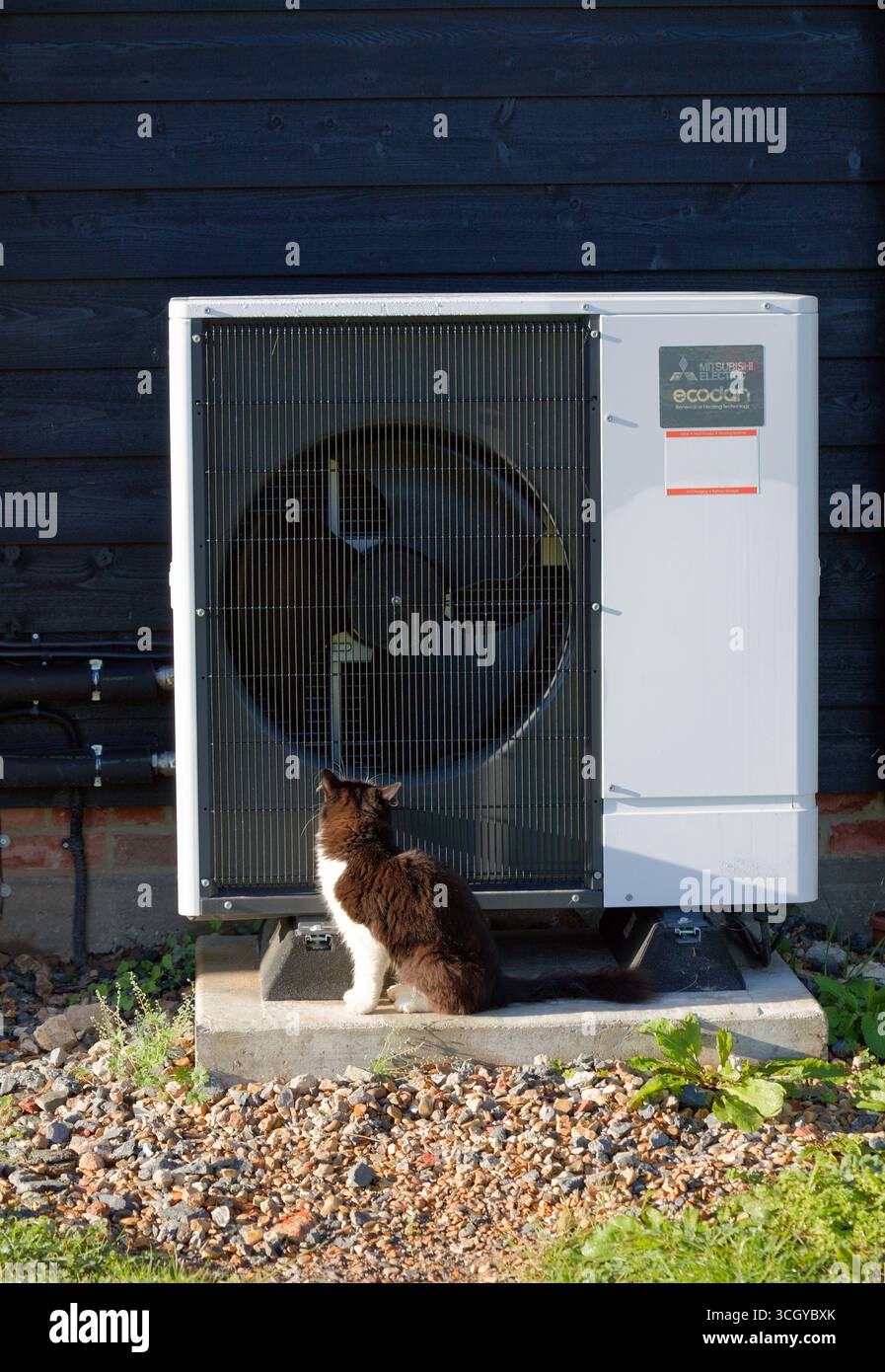 Una pompa di calore della fonte d'aria installata di recente. Così tranquillo che il gatto è felice di sedersi accanto ad esso. Cucciolo bianco e nero con pompa di calore B&N. Mitsubishi Ecodan. Foto Stock