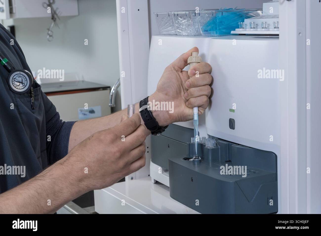 Tecnico medico che utilizza apparecchiature di analisi della chimica del sangue nel laboratorio di ricerca, New York USA Foto Stock