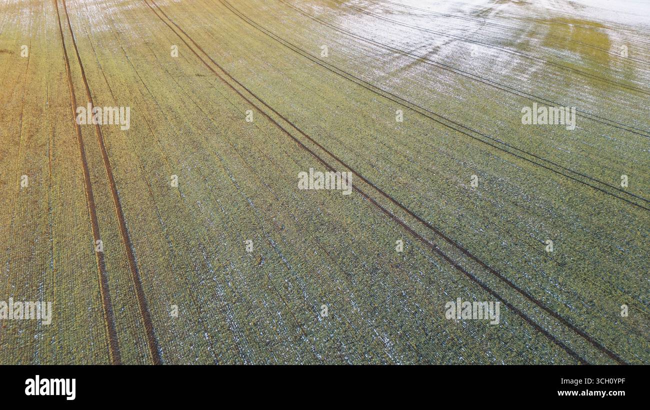 Vista aerea del campo agricolo con innevamenti e cingoli dei trattori nel paesaggio invernale sotto il cielo azzurro. Foto Stock